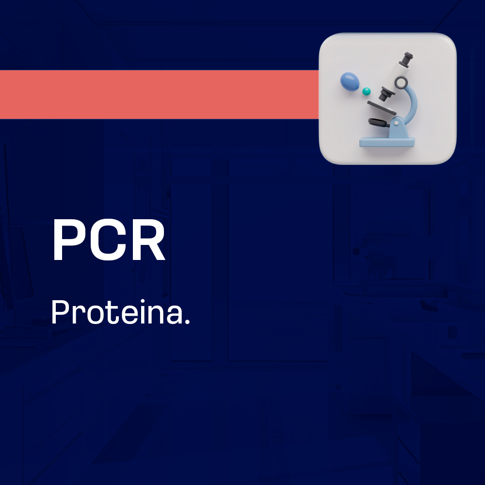 PCR